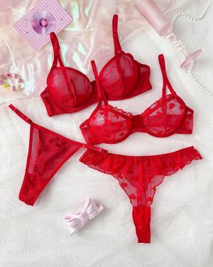 Conjunto de lencerÃa transparente y sexy de 4 piezas en color rojo