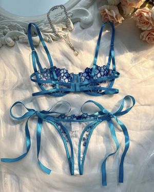 Set de 2 piezas de lencerÃa sexy Azul